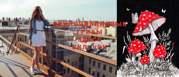 герыч Алексин
