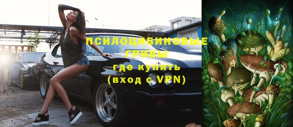 PSILOCYBIN Абдулино