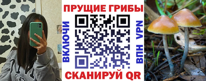 ОМГ ОМГ ссылки Татарск Галлюциногенные грибы GOLDEN TEACHER